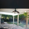 Photo 2: Back yard