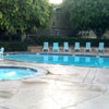 Photo 6: Spa & Pool