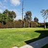 Photo 8: Grass Volleyball Court