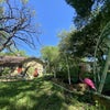 Photo 7: Awesome backyard!