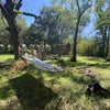 Photo 8: Love a hammock afternoon