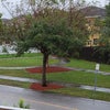 Photo 7: Little park in front