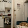 Photo 7: Kitchen