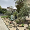 Photo 8: Courtyard