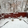 Photo 9: back yard in January