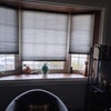Photo 5: Living room view