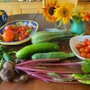 Photo 6: garden harvest, a day last summer