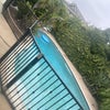 Photo 7: Pool