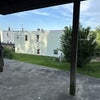 Photo 9: Huge backyard 