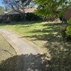 Photo 5: Yard or Patio