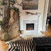 Photo 8: Living Room