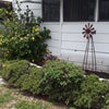 Photo 2: front of house