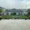 Photo 6: Backyard 