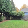 Photo 2: Backyard
