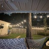 Photo 6: Backyard