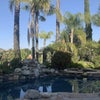 Photo 3: Pool