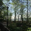 Photo 3: Our Park at the end of the Block
