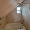 Photo 9: Tub and Shower