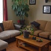 Photo 6: Living room