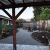 Photo 8: Back yard