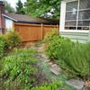 Photo 8: Front Yard