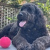 Photo 7: Tux
