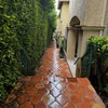 Photo 1: Entrance walkway 