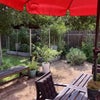 Photo 9: backyard 