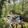 Photo 8: Waterfall walking distance