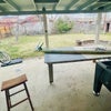 Photo 8: Backyard