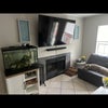 Photo 4: Living room 