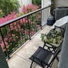 Photo 3: Patio