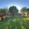 Photo 7: Large backyard