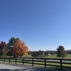 Photograph of Ashlynn