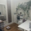 Photo 5: Your office