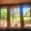 Photo 8: Patio 