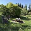 Photo 9: backyard bonfire pit