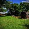 Photo 6: backyard with garden