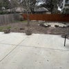 Photo 9: Backyard with trees 