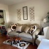 Photo 6: Shared living room