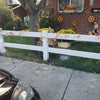 Photo 4: Front yard