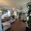 Photo 3: living room