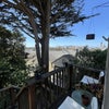 Photo 8: back patio stairs to backyard
