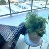 Photo 6: balcony