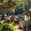 Photo 9: backyard deck