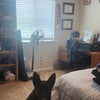 Photo 4: Room is regular size, can be furnished or emptied out 