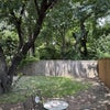 Photo 6: Backyard