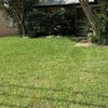 Photo 7: Front yard with part of garage door visible in right