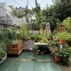 Photo 4: Backyard #1