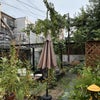 Photo 5: Backyard #2